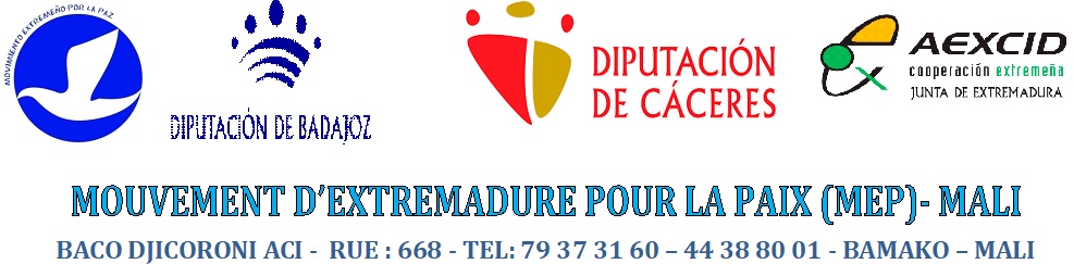 Avis d’appel d’offres ouvert  N°010 - M E P – MALI - 2023